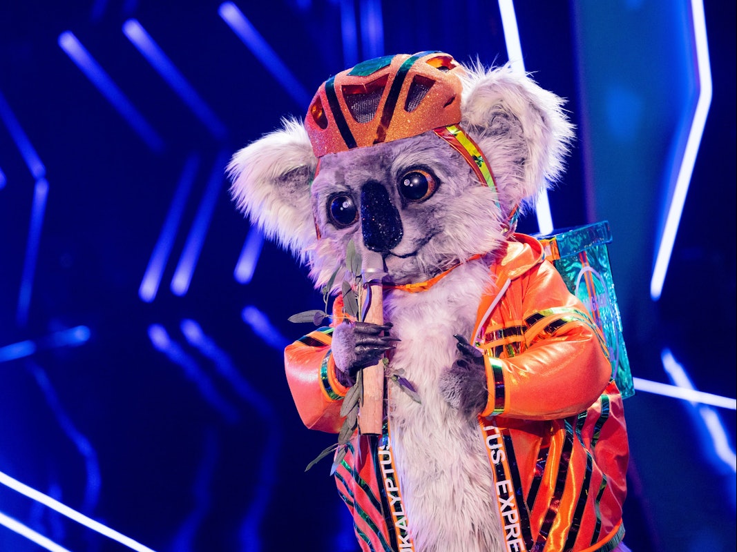 Die Figur „Der Koala“ steht in der Prosieben-Show "The Masked Singer" auf der Bühne.