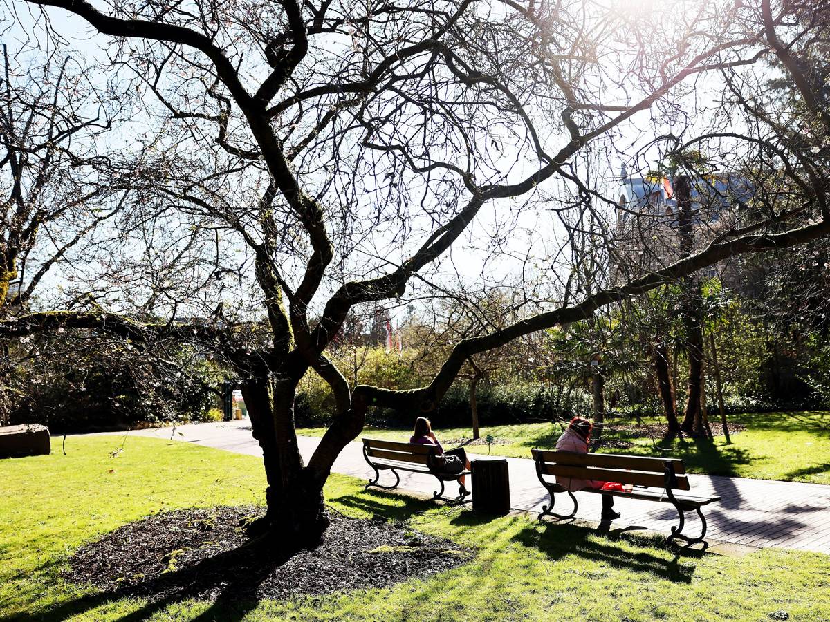 Zwei Frauen sitzen in der Flora in der Sonne. Heiter bis sonnig wird das Wetter in Nordrhein-Westfalen am Wochenende.