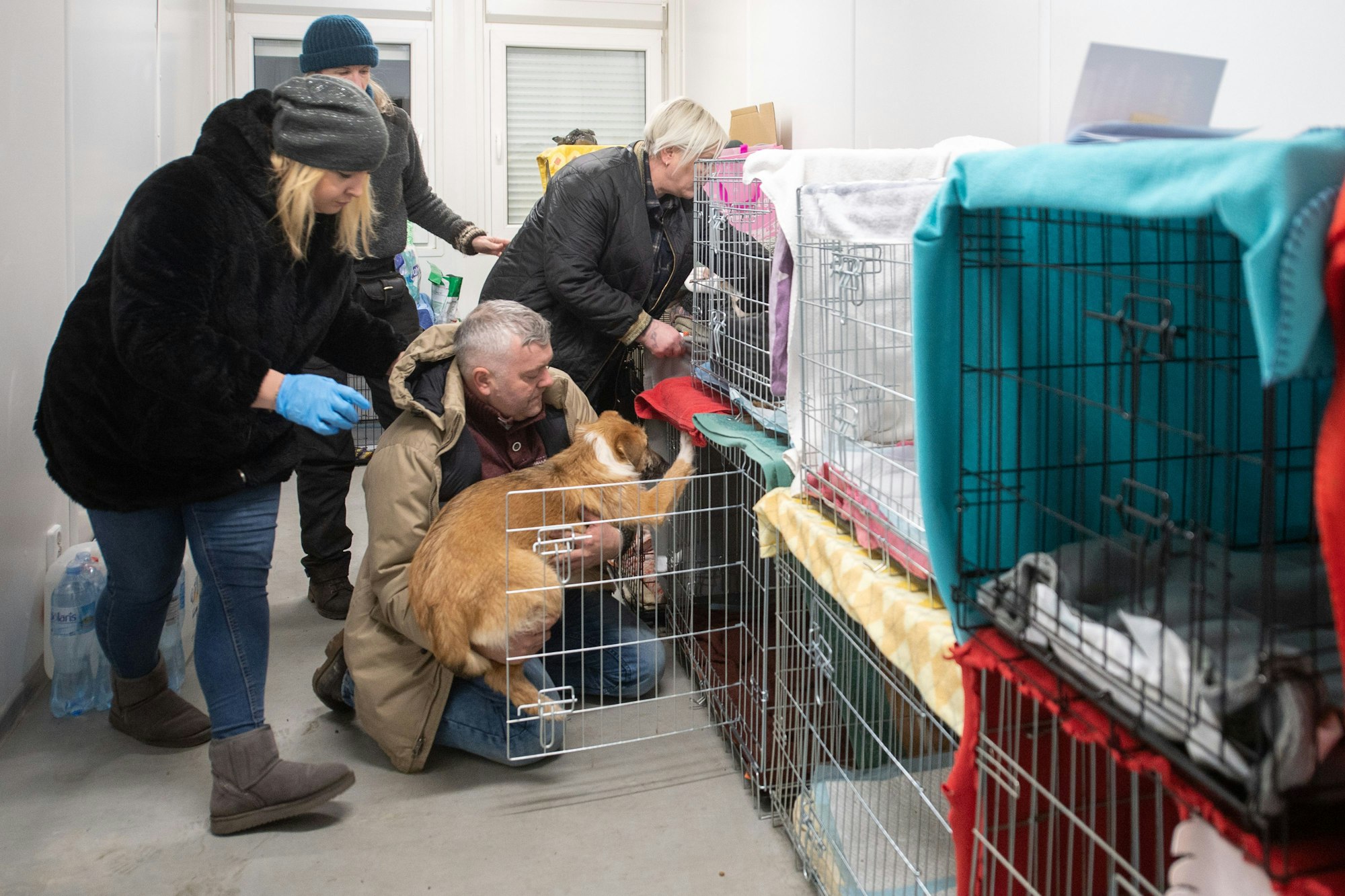 Geflüchtete geben einen aus der Ukraine geretteten Hund in eine Box.