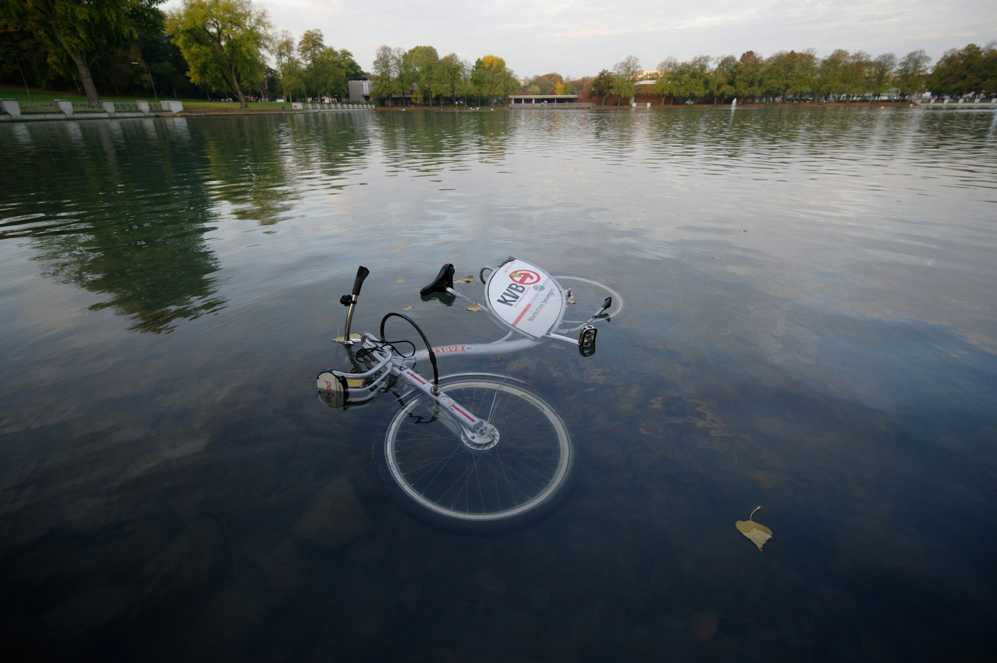 Ein Leihrad der Kölner Verkehrsbetriebe (KVB) liegt im Aachener Weiher.