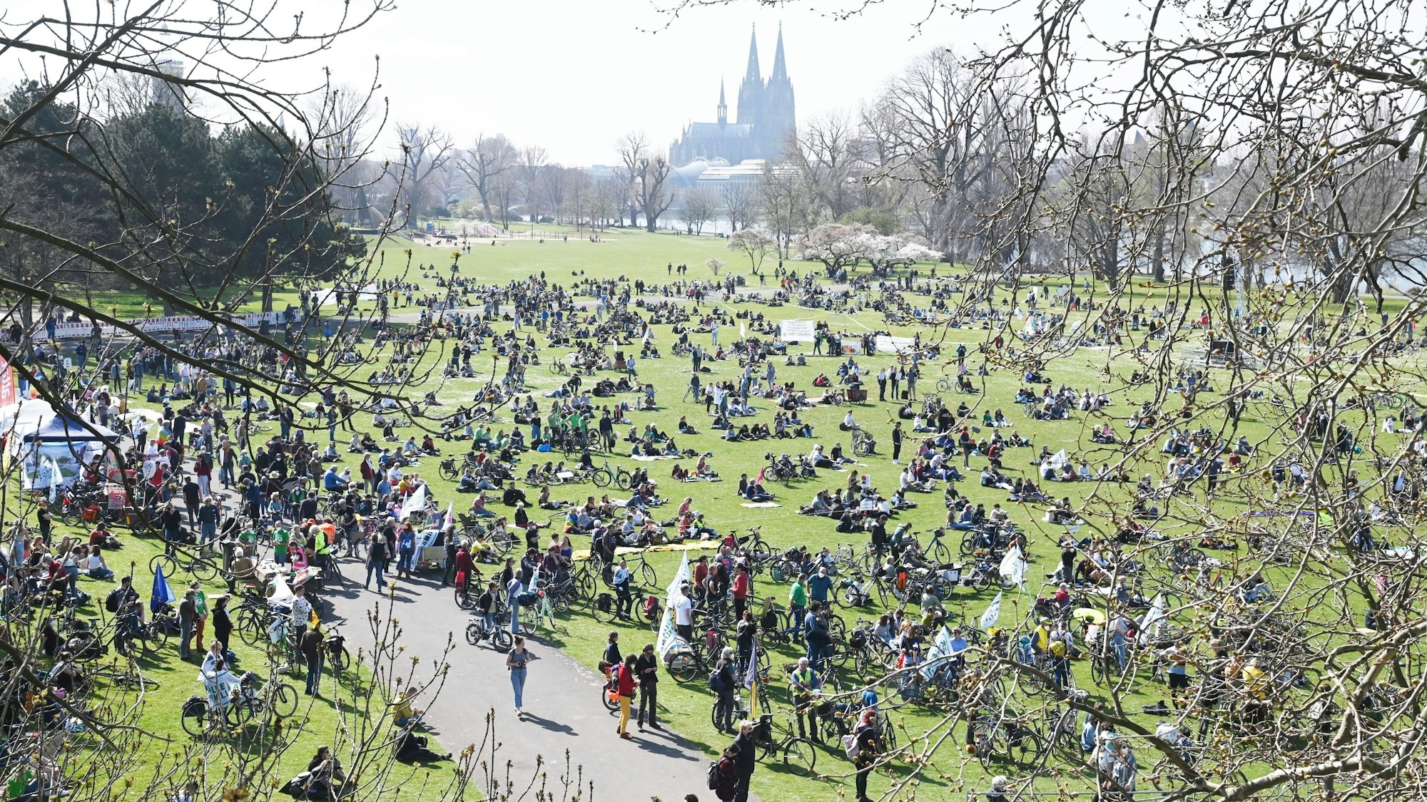 Demonstranten im Rheinpark