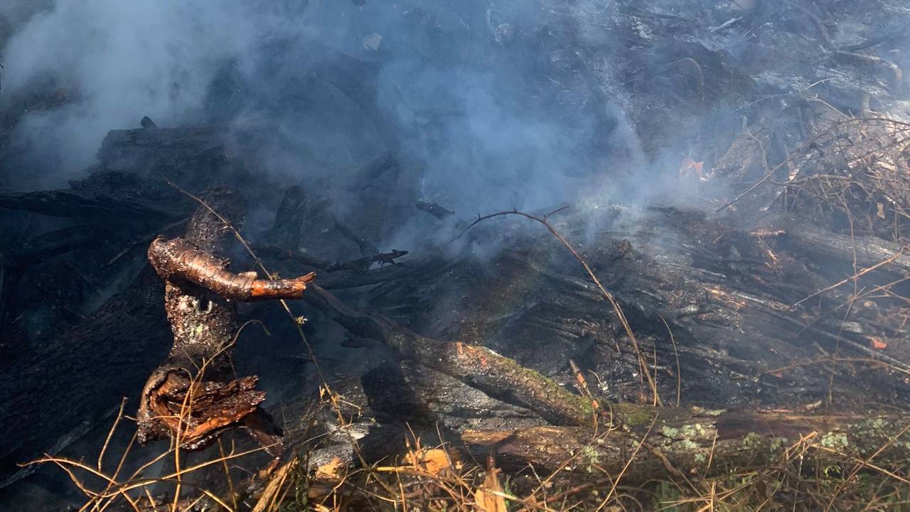Ein Feuerwehrmann versucht den Waldbrand in Wetter zu löschen.