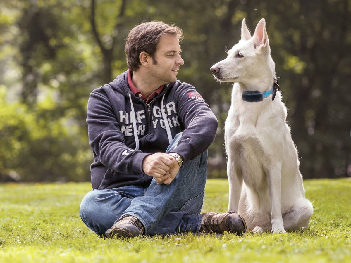 Am Sonntag (27. März 2022) begleitete Martin Rütter, hier im Oktober 2020, in der aktuellen Folgen von „Die Welpen kommen“ wieder einige Familien, die sich dem Abenteuer Hundewelpen stellen wollen.