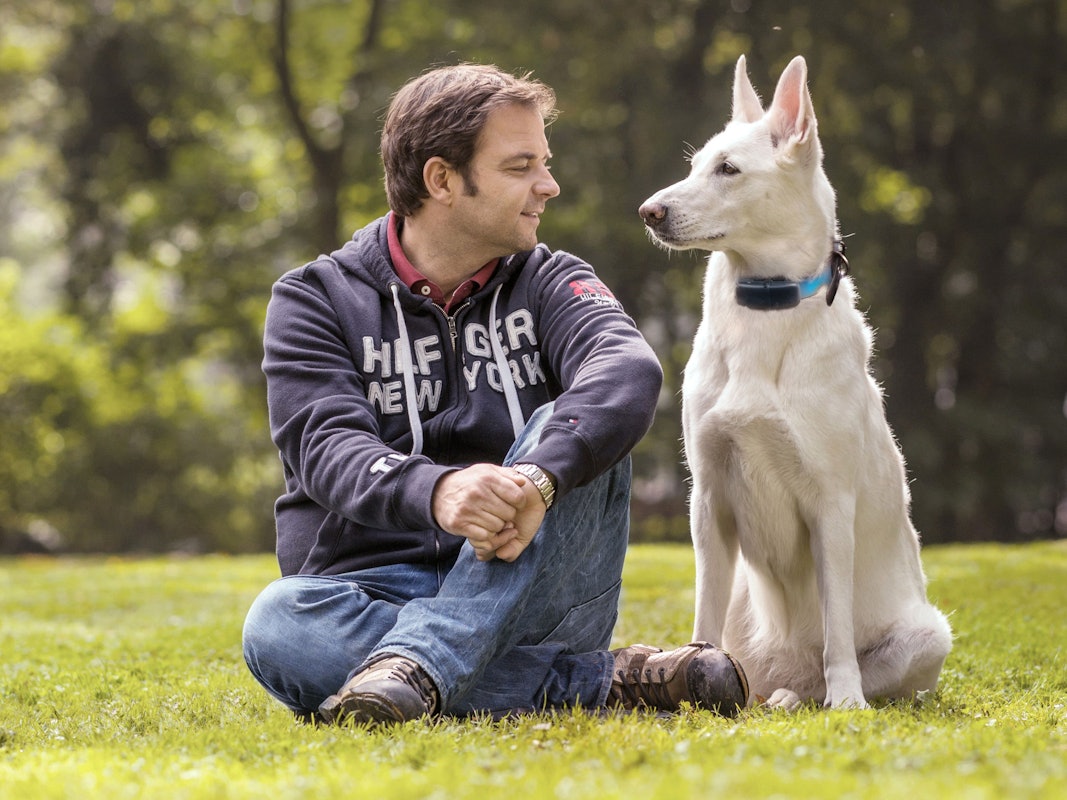 Am Sonntag (27. März 2022) begleitete Martin Rütter, hier im Oktober 2020, in der aktuellen Folgen von „Die Welpen kommen“ wieder einige Familien, die sich dem Abenteuer Hundewelpen stellen wollen.