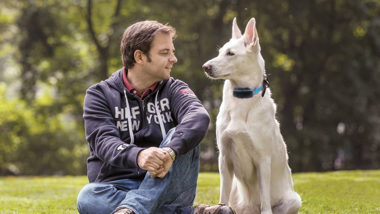 Am Sonntag (27. März 2022) begleitete Martin Rütter, hier im Oktober 2020, in der aktuellen Folgen von „Die Welpen kommen“ wieder einige Familien, die sich dem Abenteuer Hundewelpen stellen wollen.