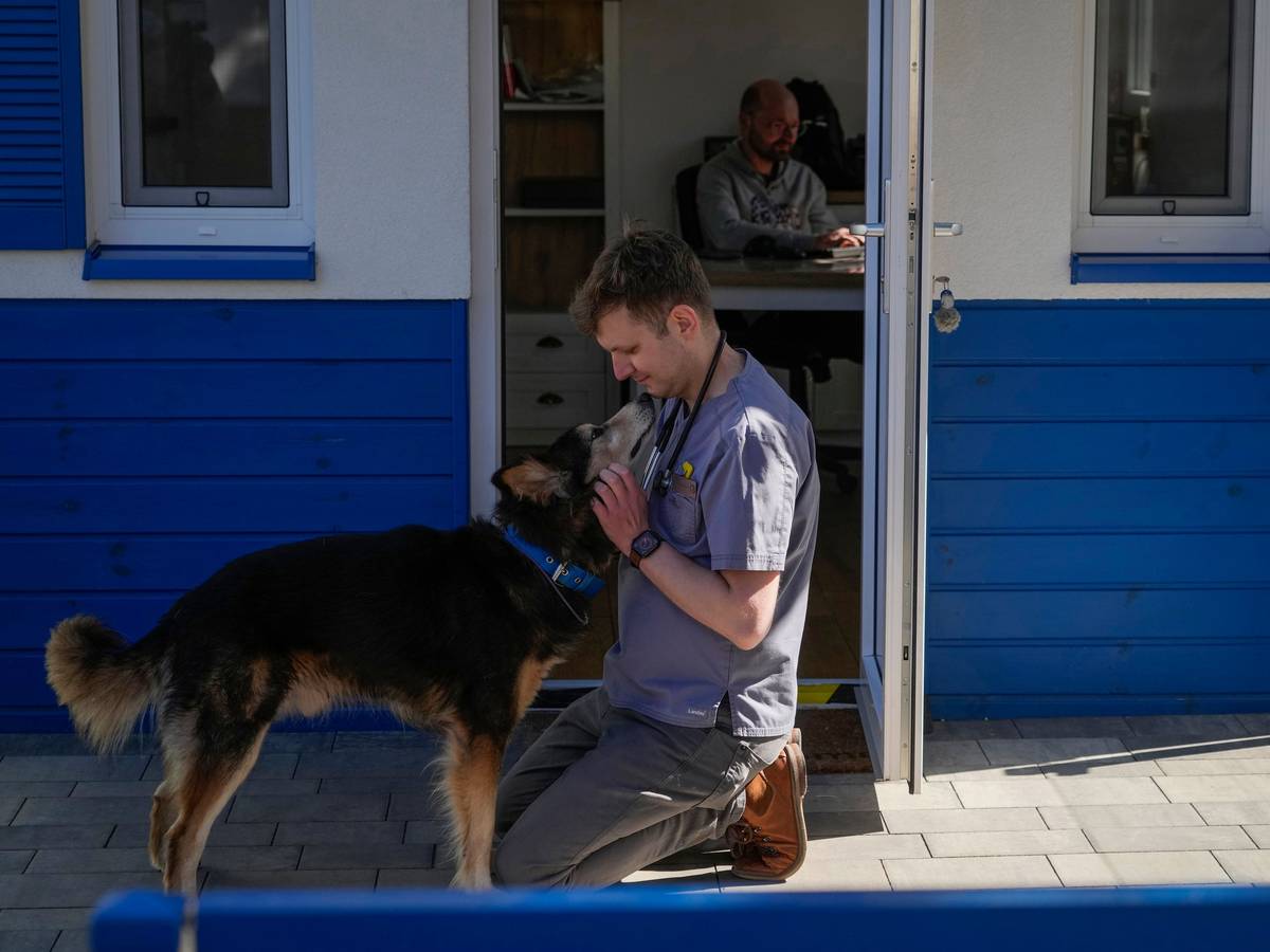Tierarzt Jakob Kotowicz umarmt einen Hund im Zentrum der ADA-Stiftung.