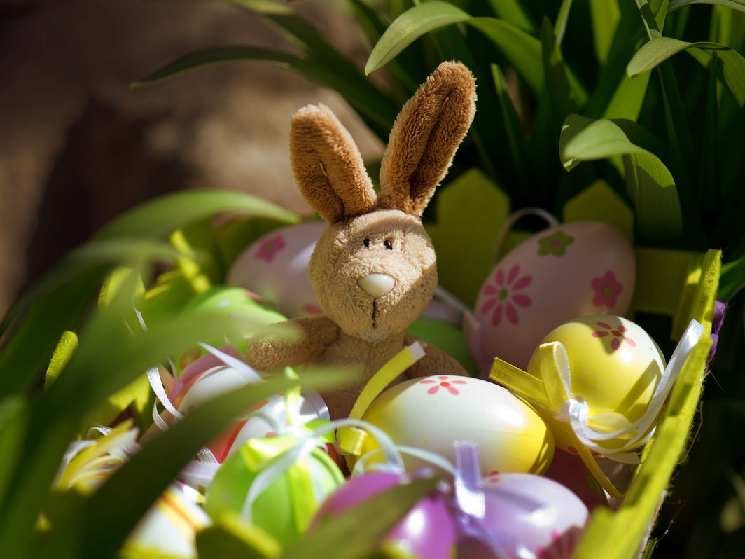 Ein Plüschtier-Hase sitzt in einem Korb mit Ostereiern in einem Garten.