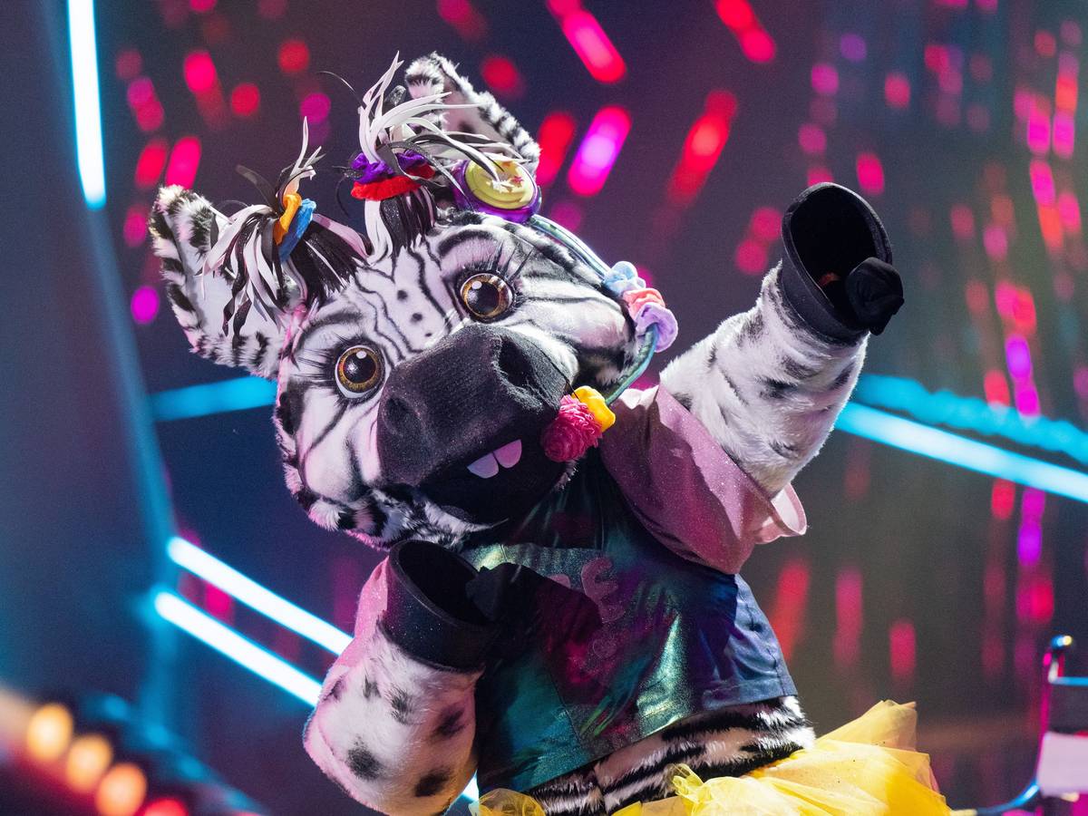 Die Figur „Das Zebra“ steht in der Prosieben-Show „The Masked Singer“ auf der Bühne.
