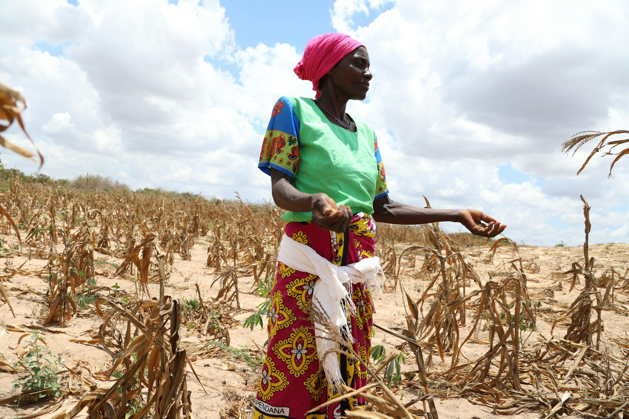 Die Dorfbewohnerin Zawadi Msafiri steht am 23. März 2022 auf einem verdorrten Maisfeld. Das Land am Horn von Afrika kämpft nun mit der dritten Dürre innerhalb eines Jahrzehnts.