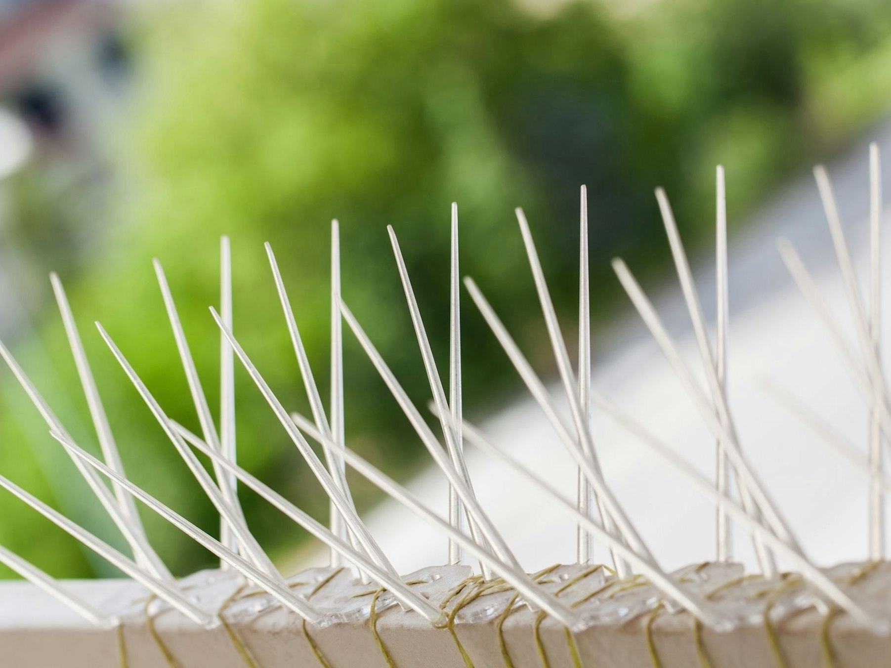 Tauben vertreiben geht mit harmlosen Spikes aus Plastik.