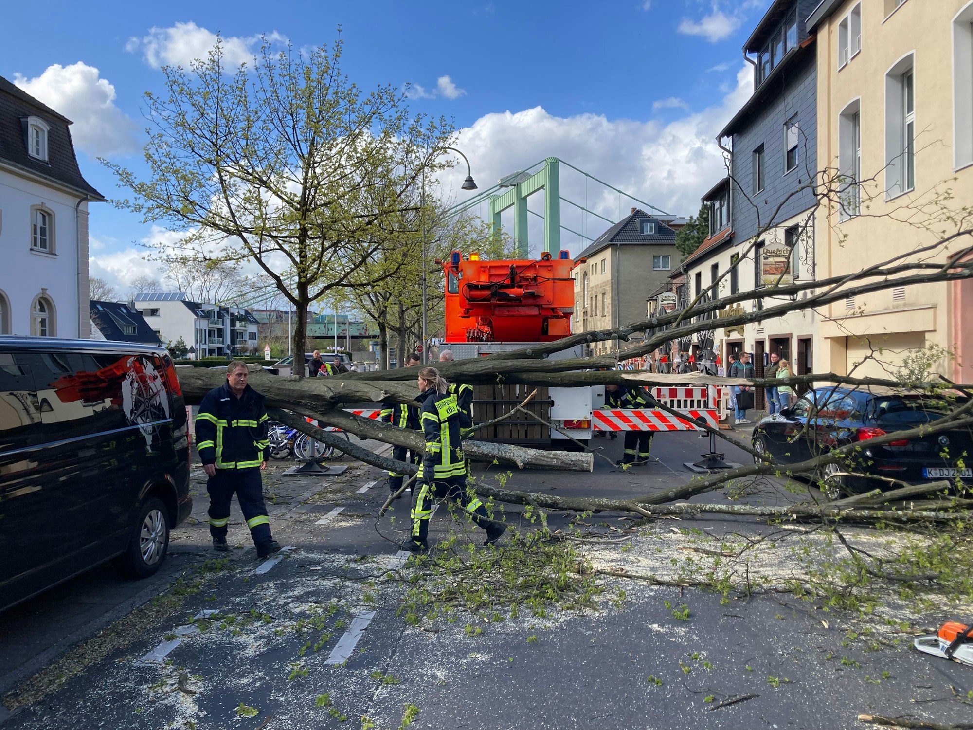 Ein umgestürzter Baum liegt auf einer Straße.