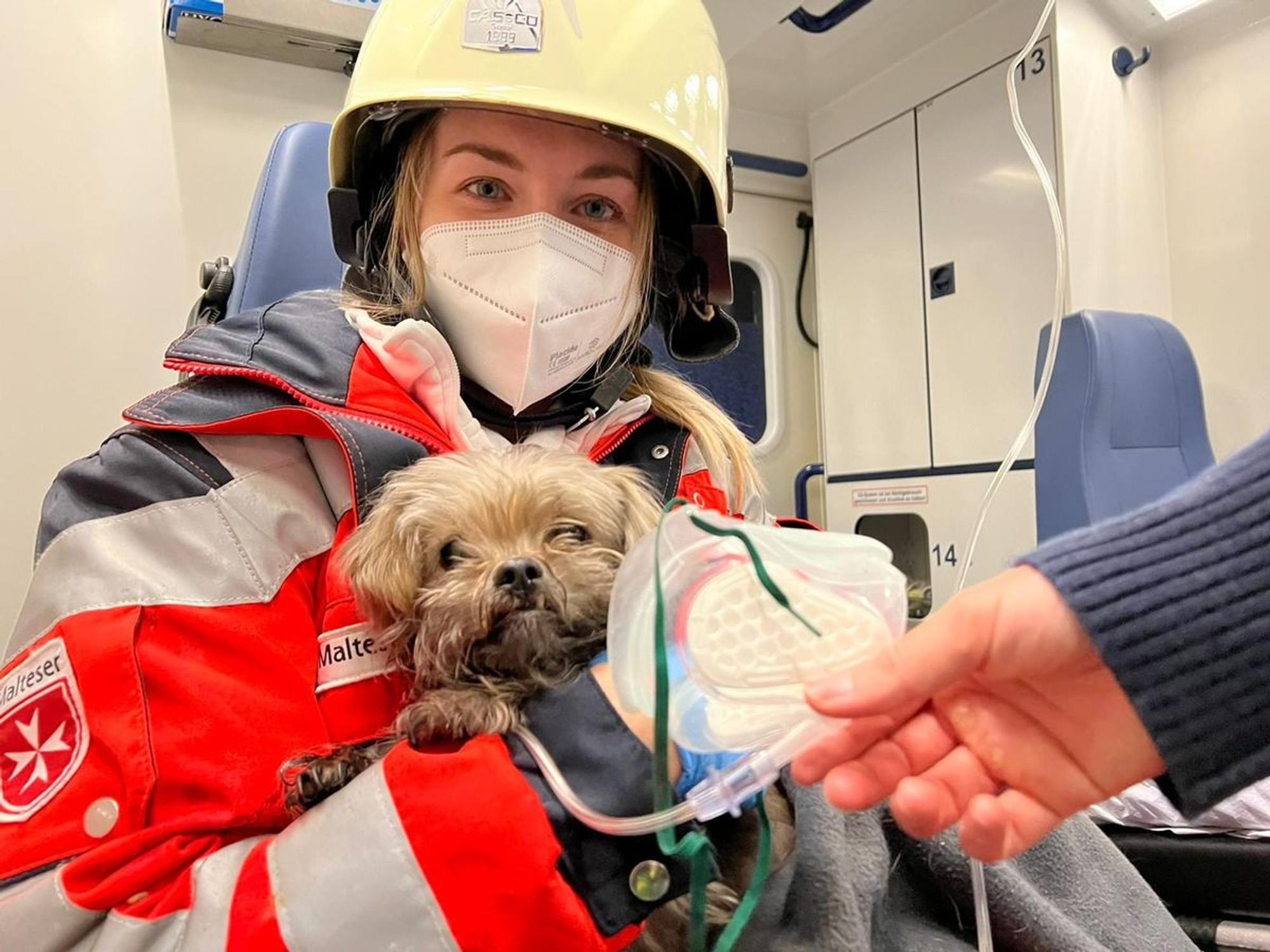 Eine Mitarbeiterin der Malteser hat einen kleinen Hund auf dem Arm, ein Kollege hält dem Tier eine Beatmungsmaske vor.