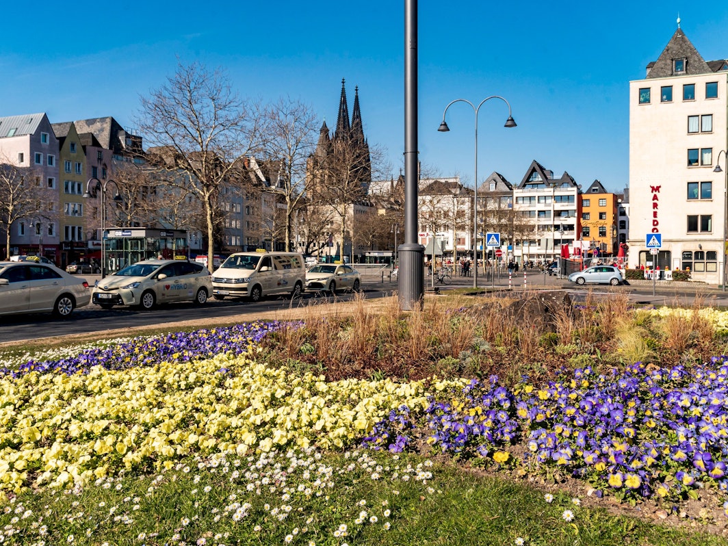 Ein Blumenbeet am Heumarkt. Im Hintergrund ist der Kölner Dom und die Altstadt zu sehen.