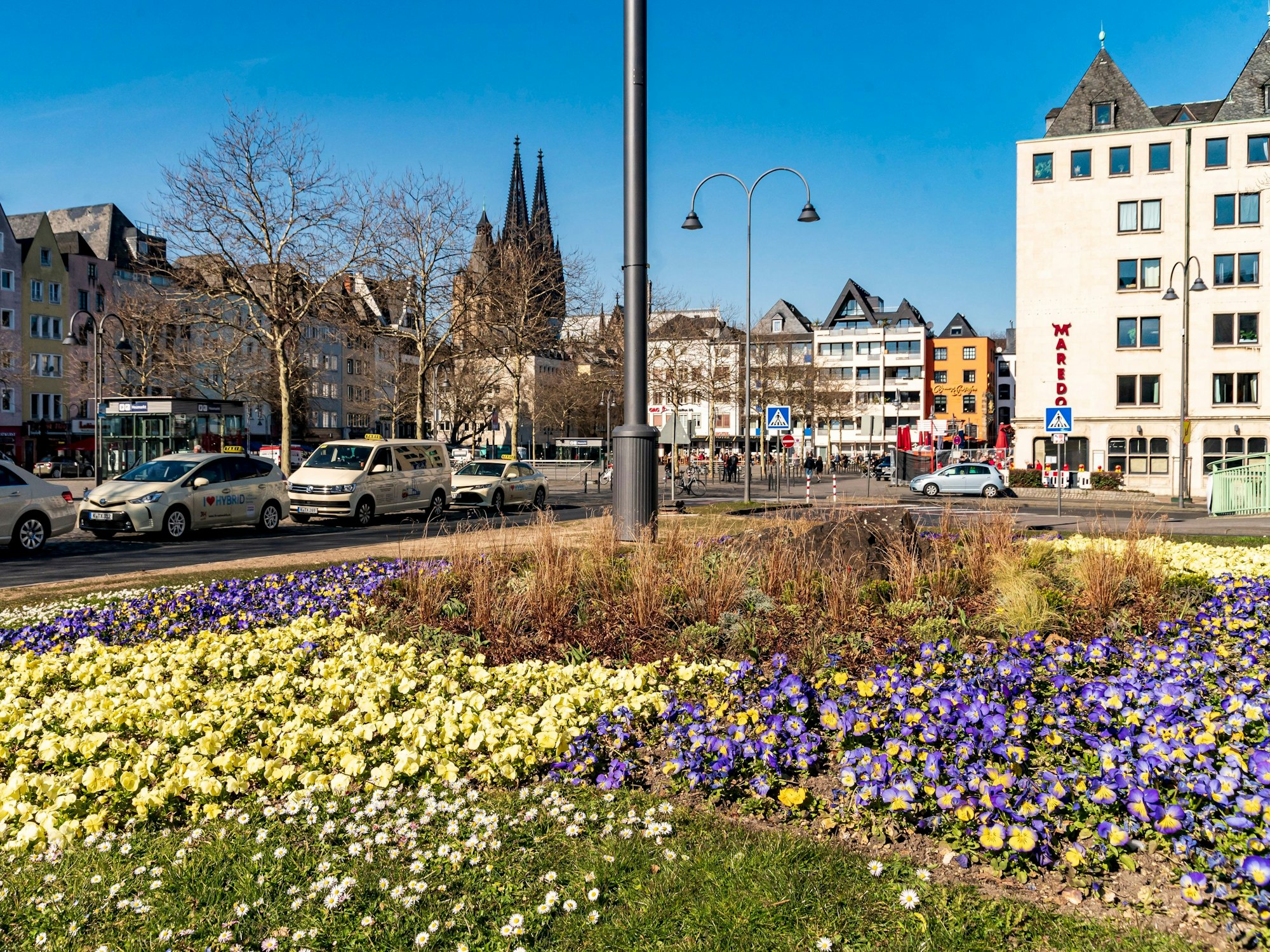 Ein Blumenbeet am Heumarkt. Im Hintergrund ist der Kölner Dom und die Altstadt zu sehen.