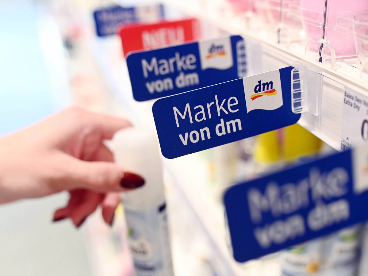 In einem Regal einer Filiale der Drogeriemarktkette dm hängen Schilder, die auf dm Eigenmarken hin weisen. Bei der Aufnahme handelt es sich um ein Symbolfoto von Oktober 2019.