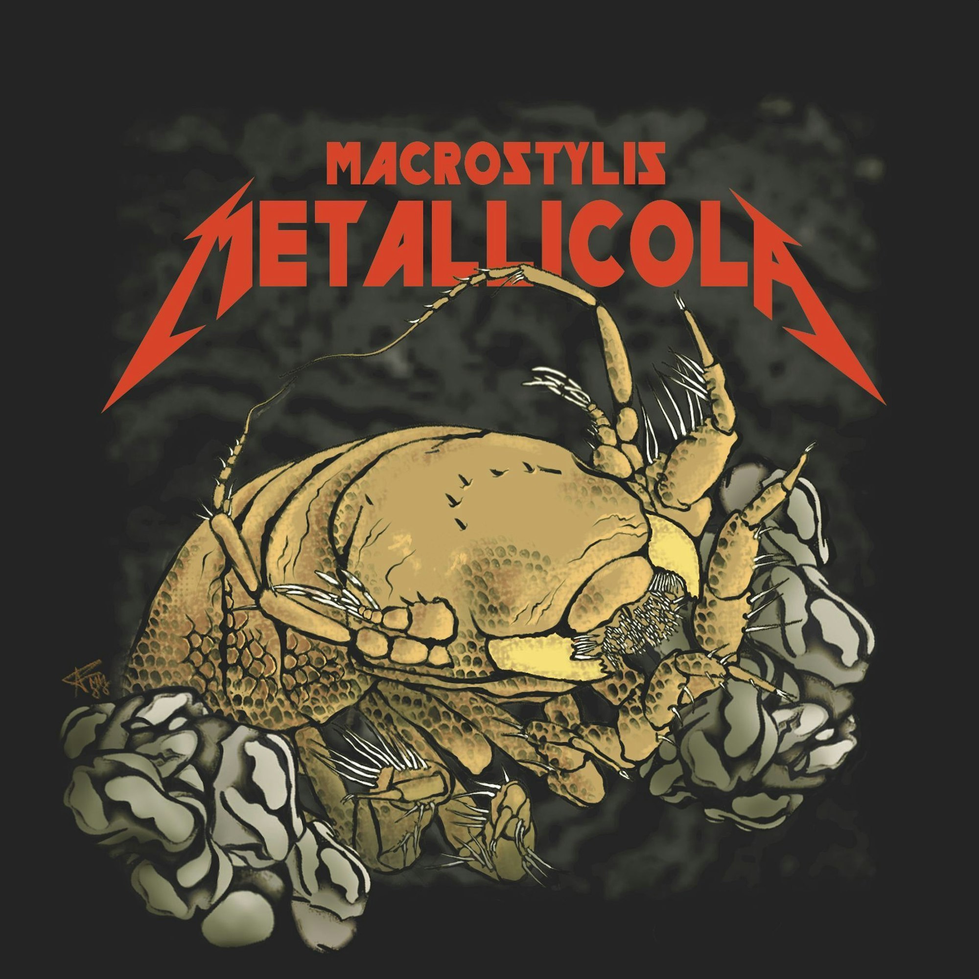 Die Metallica-Assel Macrostylis metallicola als künstlerische Interpretation von Anna Frenkel. Ein kleiner Tiefseekrebs aus dem Nordpazifik ist nach der US-Band Metallica benannt worden.