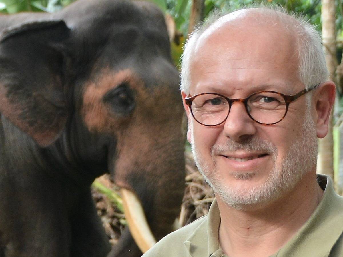 Prof. Pagel mit einem T-Shirt des Kölner Zoos vor einem Elefanten.
