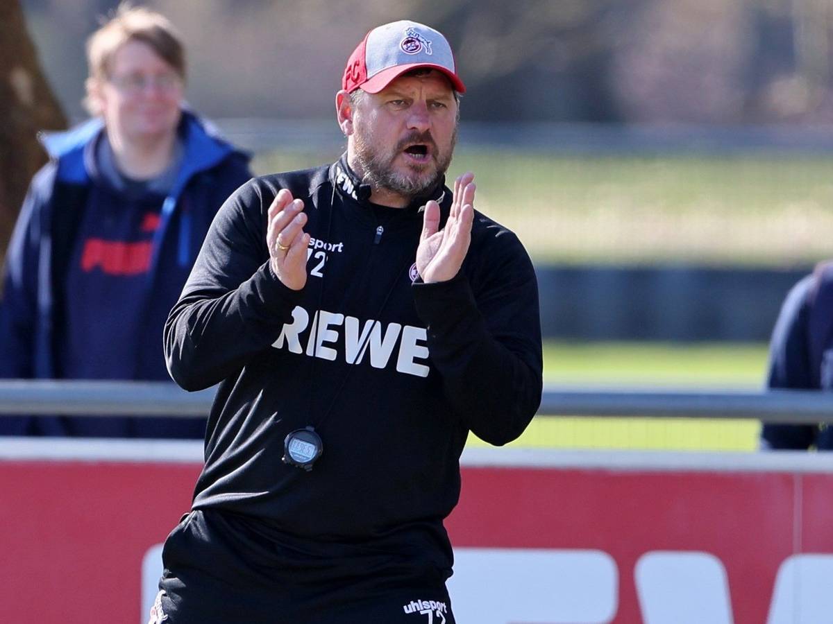 Steffen Baumgart klatscht im Training des 1. FC Köln in die Hände