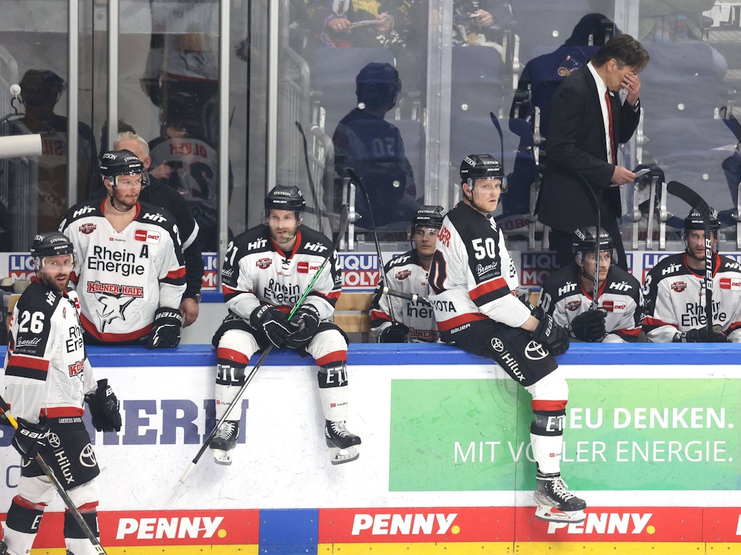 Die Kölner Haie mit Trainer Uwe Krupp enttäuscht auf der Bank.