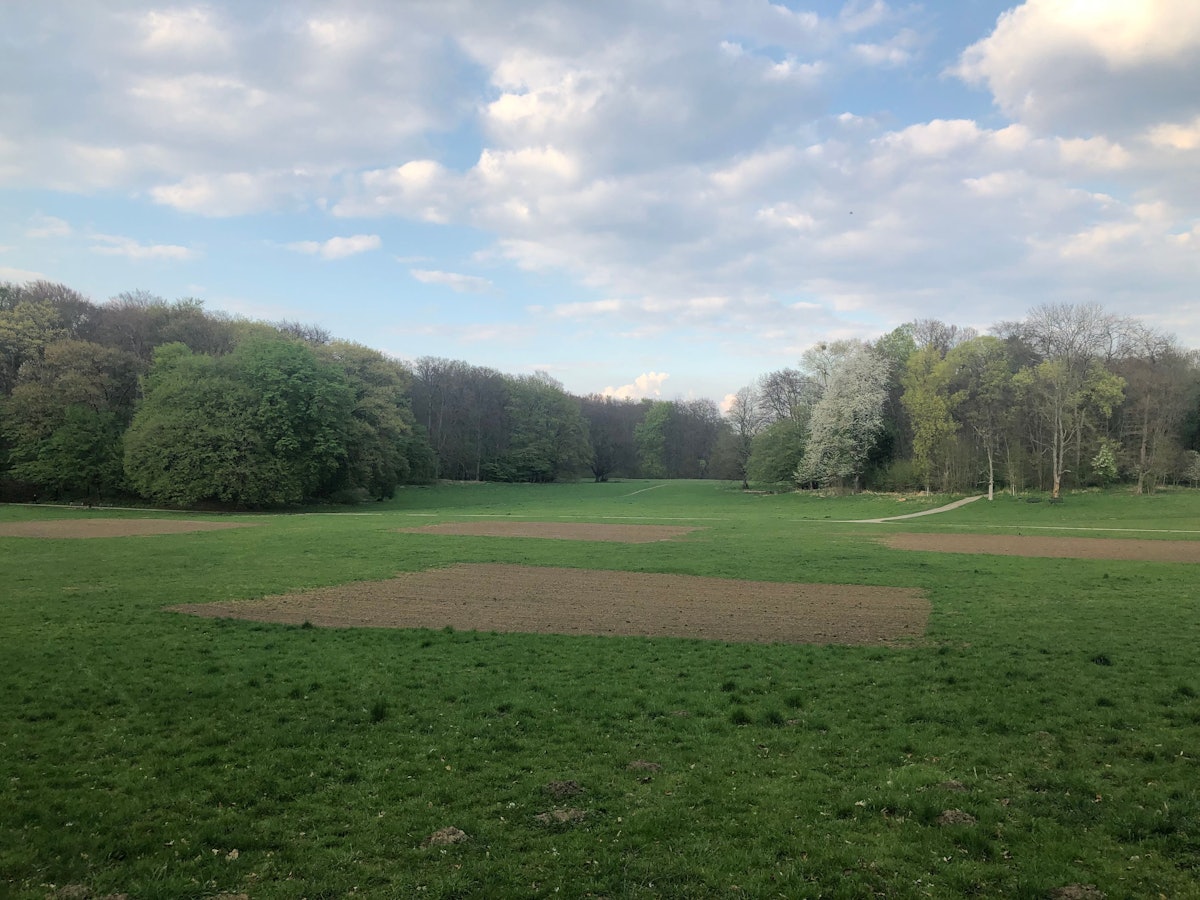 Wiese im Kölner Stadtwald, bei der einige Quadrate Rasen entfernt wurden.