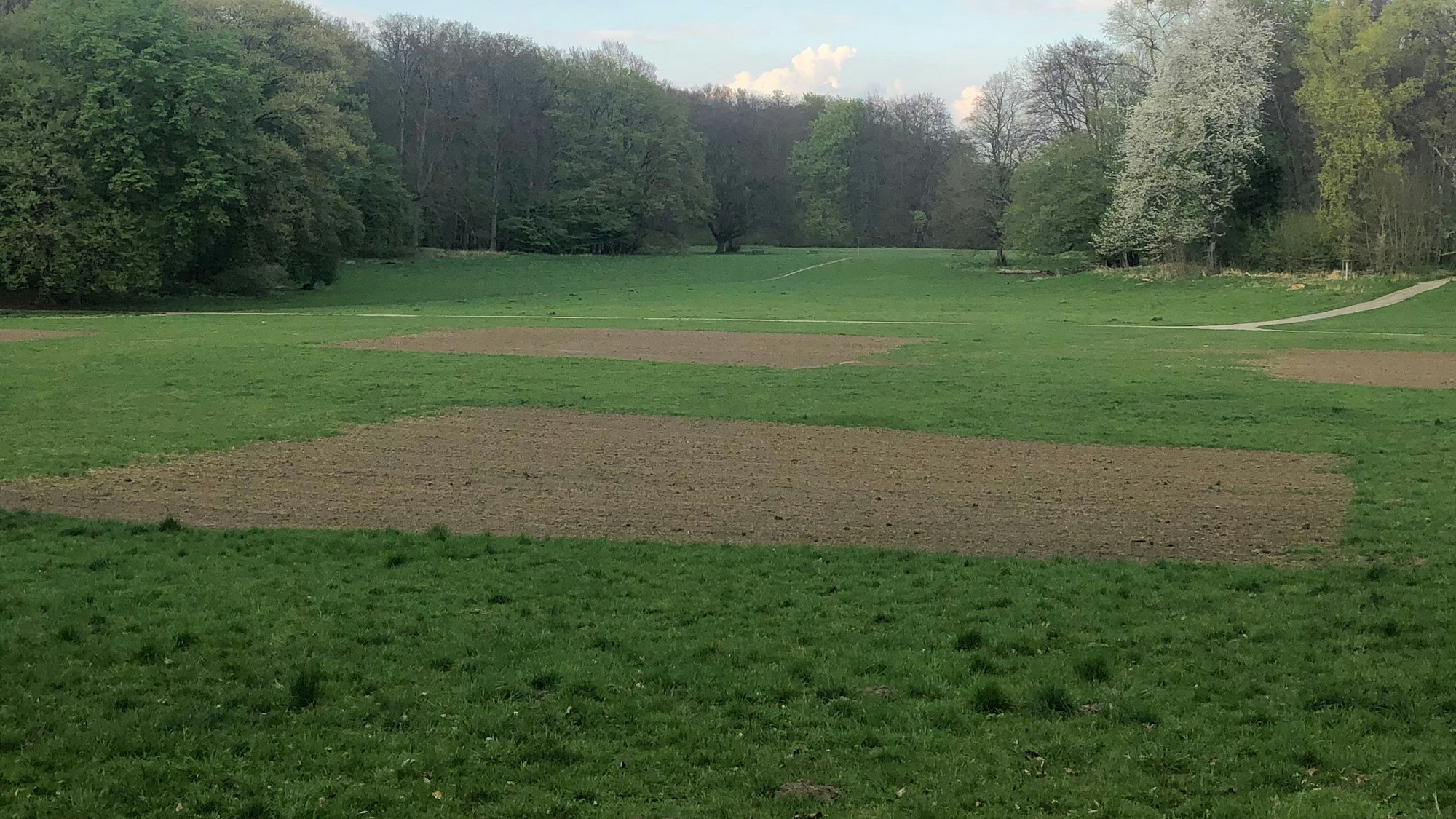 Wiese im Kölner Stadtwald, bei der einige Quadrate Rasen entfernt wurden.