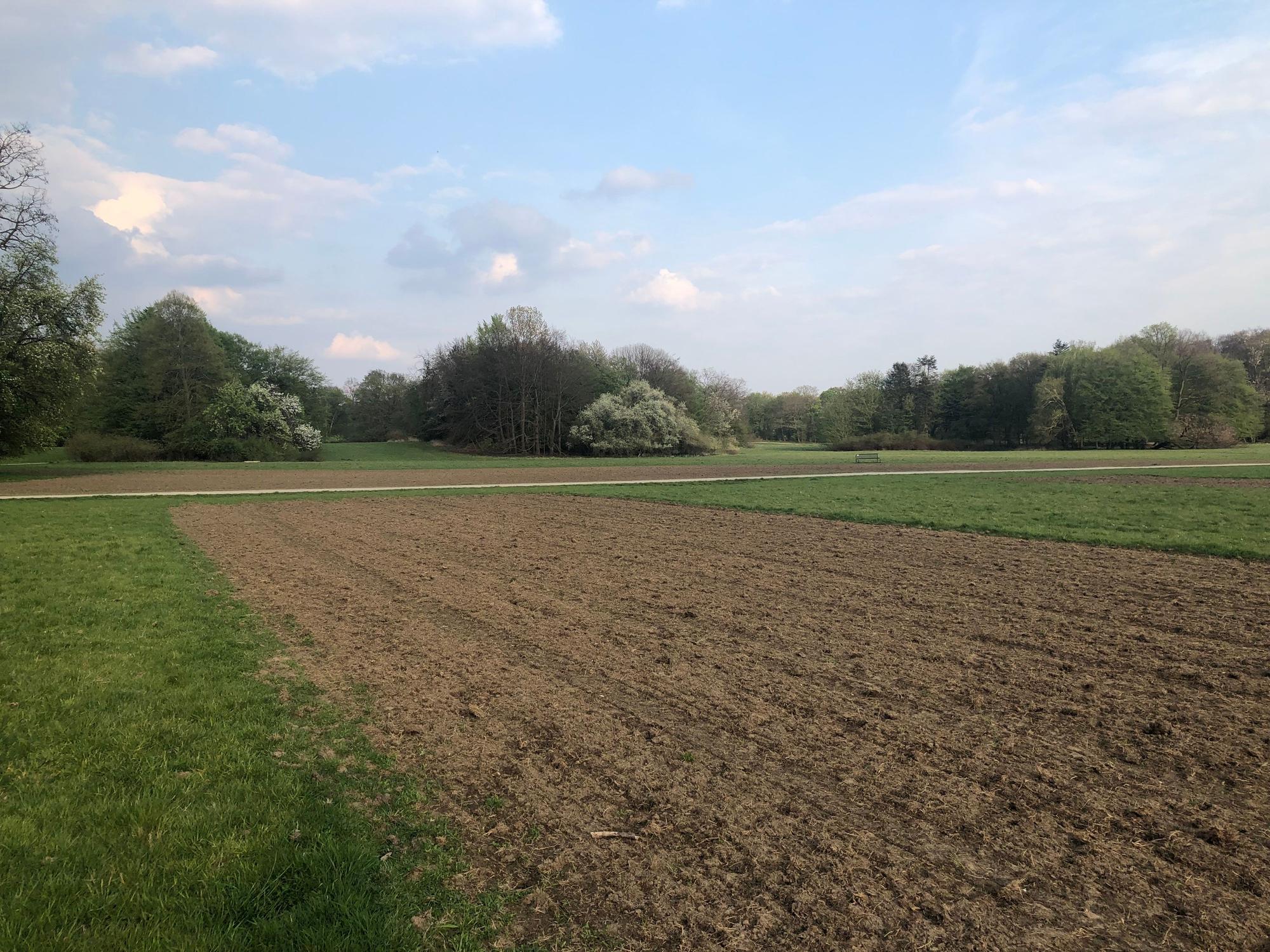 Rasen, der teilweise gefräst wurde, im Kölner Stadtwald.