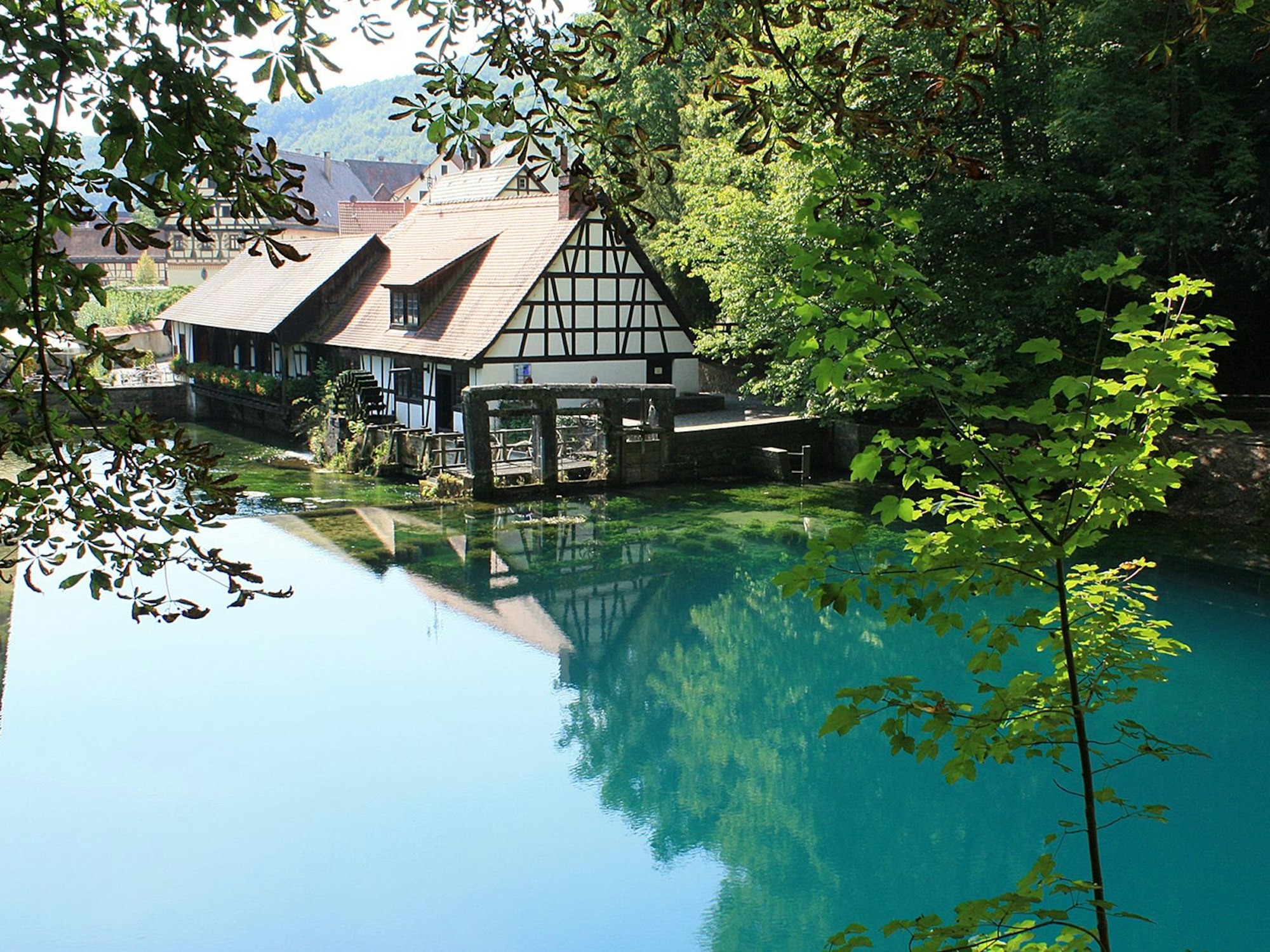 Die Karstquelle „Blautopf“ ist ein absolutes Highlight auf dem Fernwanderweg „Jurasteig“.
