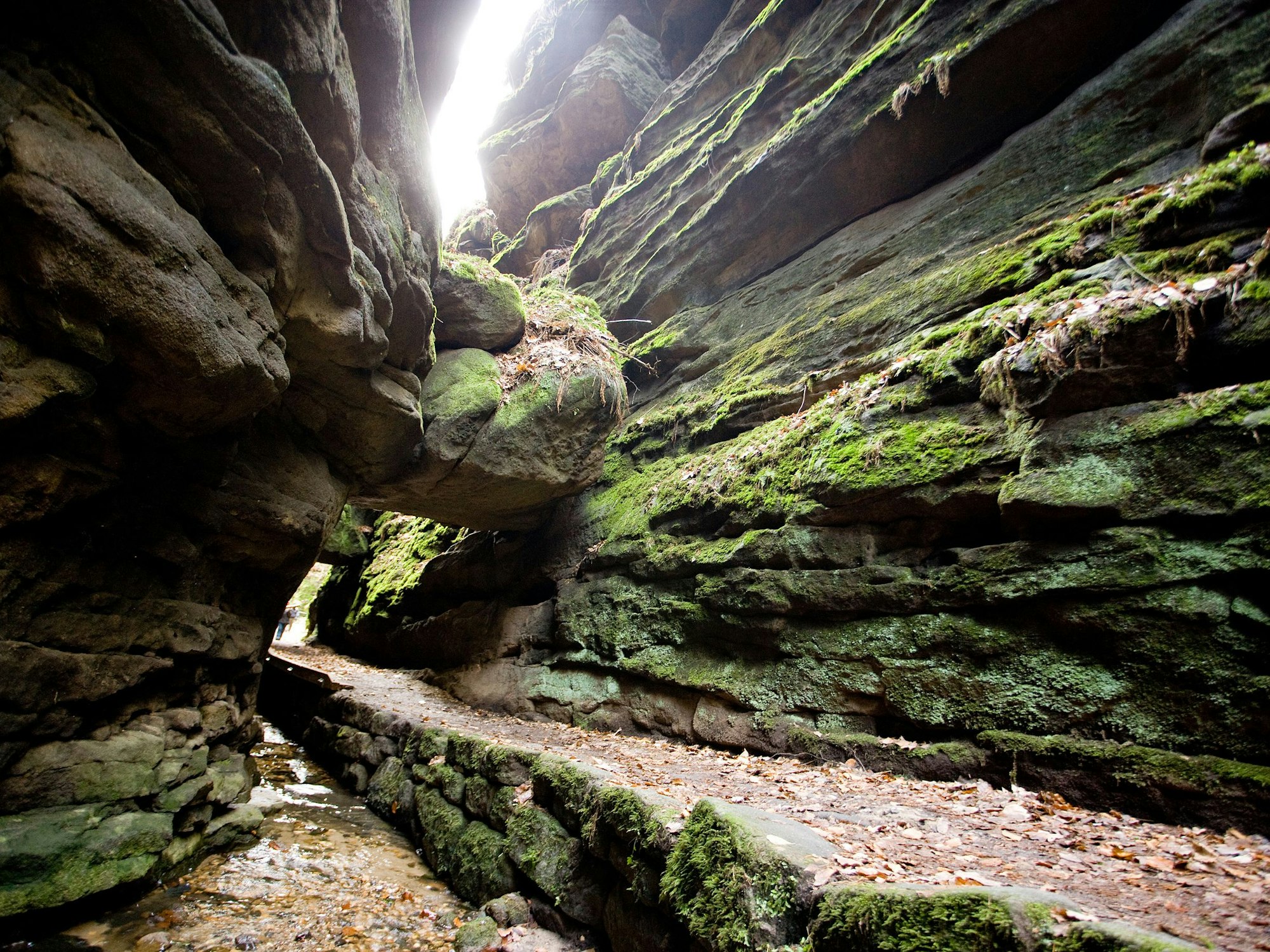 Deutschlands Fernwanderwege wie der „Malerweg“ führen durch felsige Schluchten.