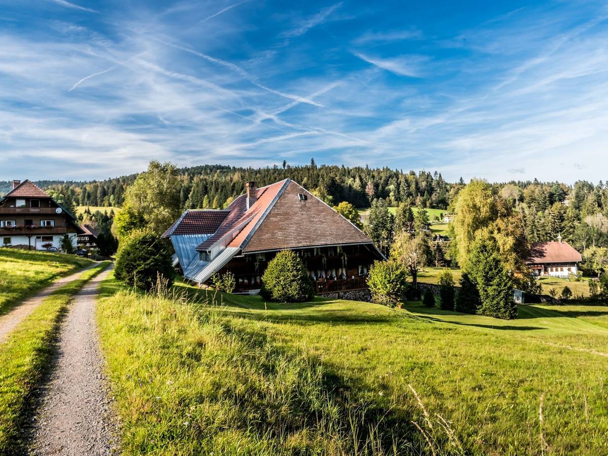 Der „Schluchtensteig“ gehört zu den besten Fernwanderwegen Deutschlands.