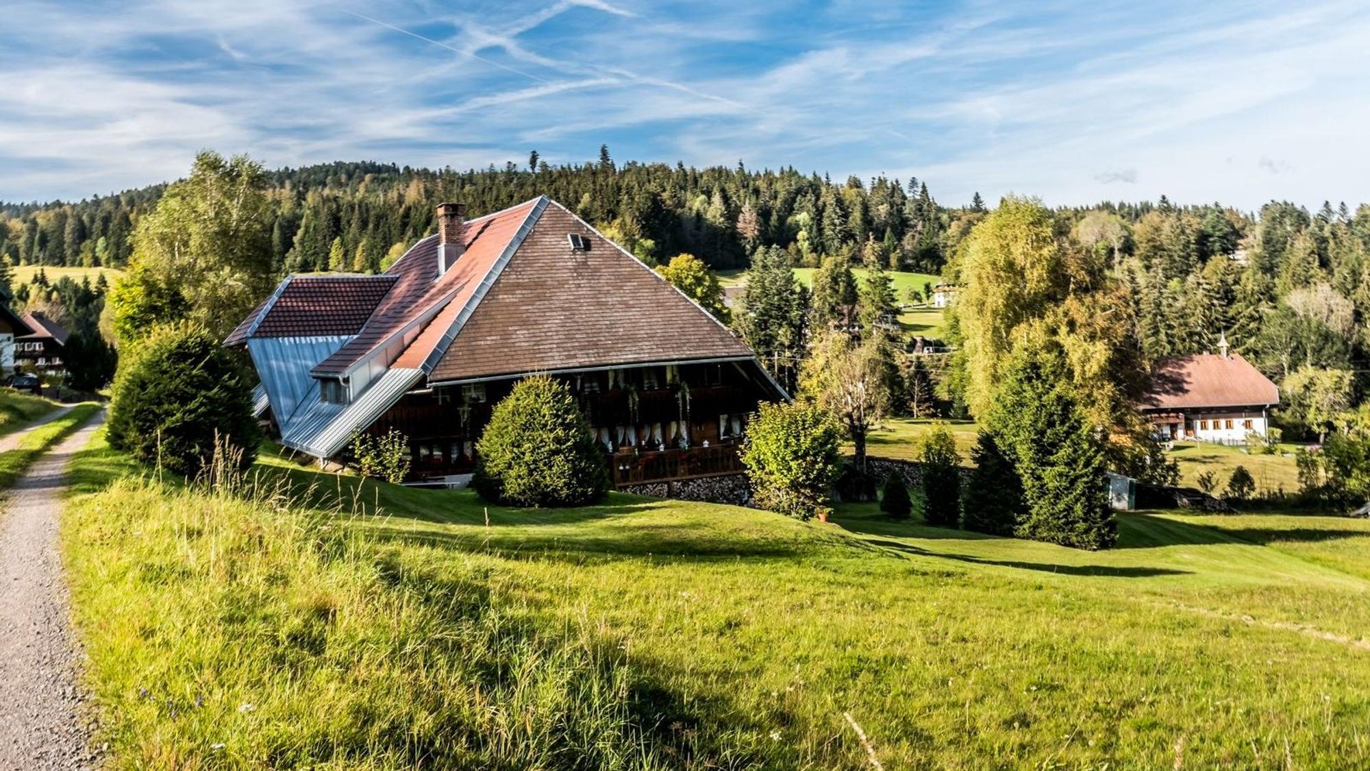 Der „Schluchtensteig“ gehört zu den besten Fernwanderwegen Deutschlands.