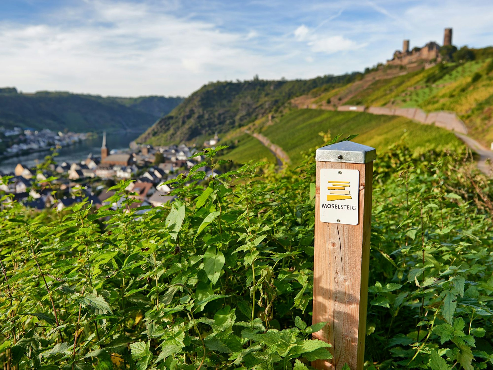 Der „Moselsteig“ gehört zu den schönsten Flusswanderwegen Deutschlands.