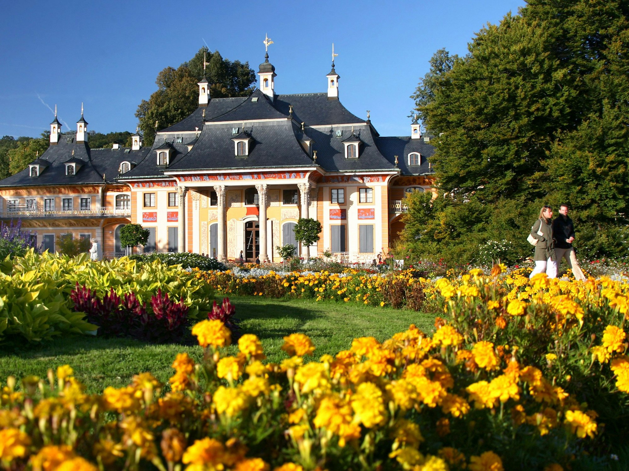 Auf dem „Sächsischen Weinwanderweg“ liegt das Schloss Pillnitz.