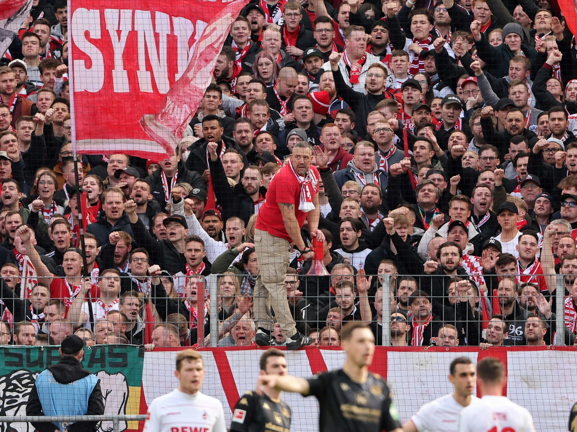 Die Fans des 1. FC Köln stehen in der Südkurve.