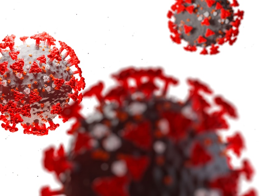 Neue Corona-Varianten aufgetreten: Verschiedene Mischvarianten nun auch in Deutschland nachgewiesen. Das Symbolbild zeigt Coronaviren am 18.Mai 2021 unter einem Mikroskop.