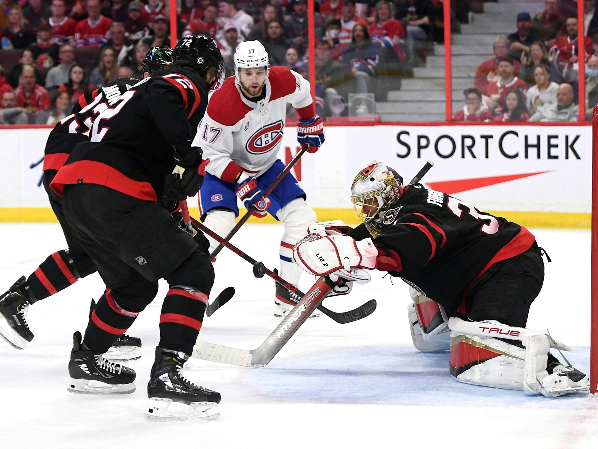 Eishockey: NHL, Ottawa Senators - Montréal Canadiens, Hauptrunde, Hauptrunde-Partien, 185. Spieltag: Anton Forsberg (r), Torwart der Ottawa Senators, gegen Josh Anderson (M) von den Montreal Canadiens. +++ dpa-Bildfunk +++