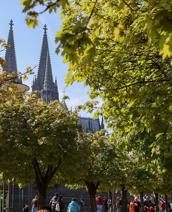 Rheinufer mit Blick auf Kölner Dom