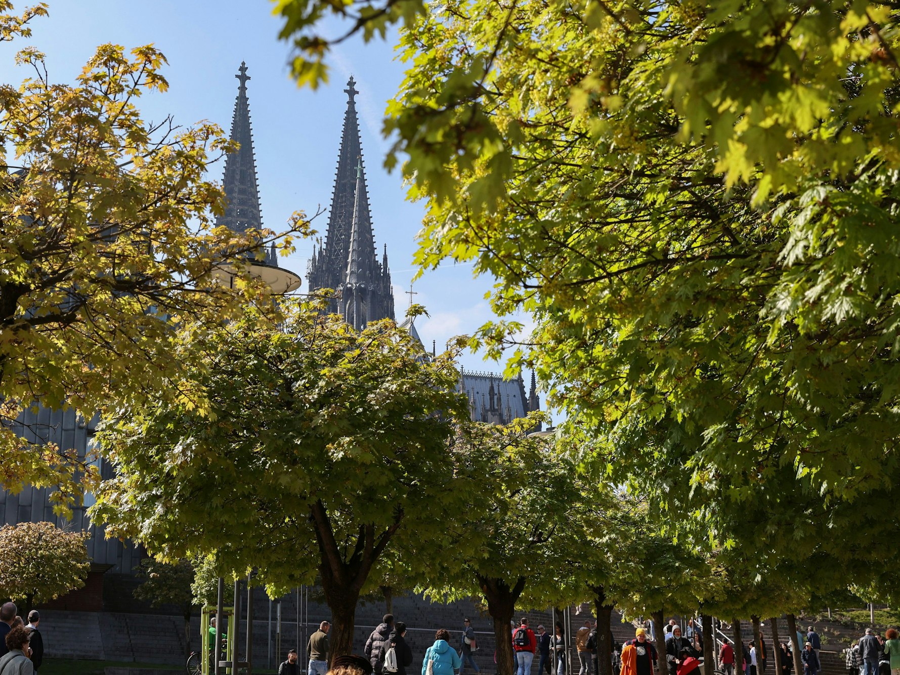 Rheinufer mit Blick auf Kölner Dom