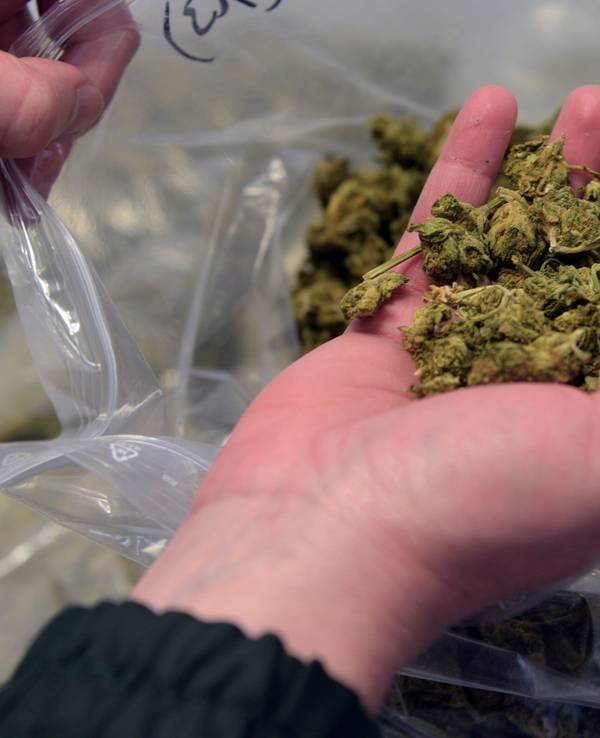 Eine Frau hält Marihuana in ihrer Hand.