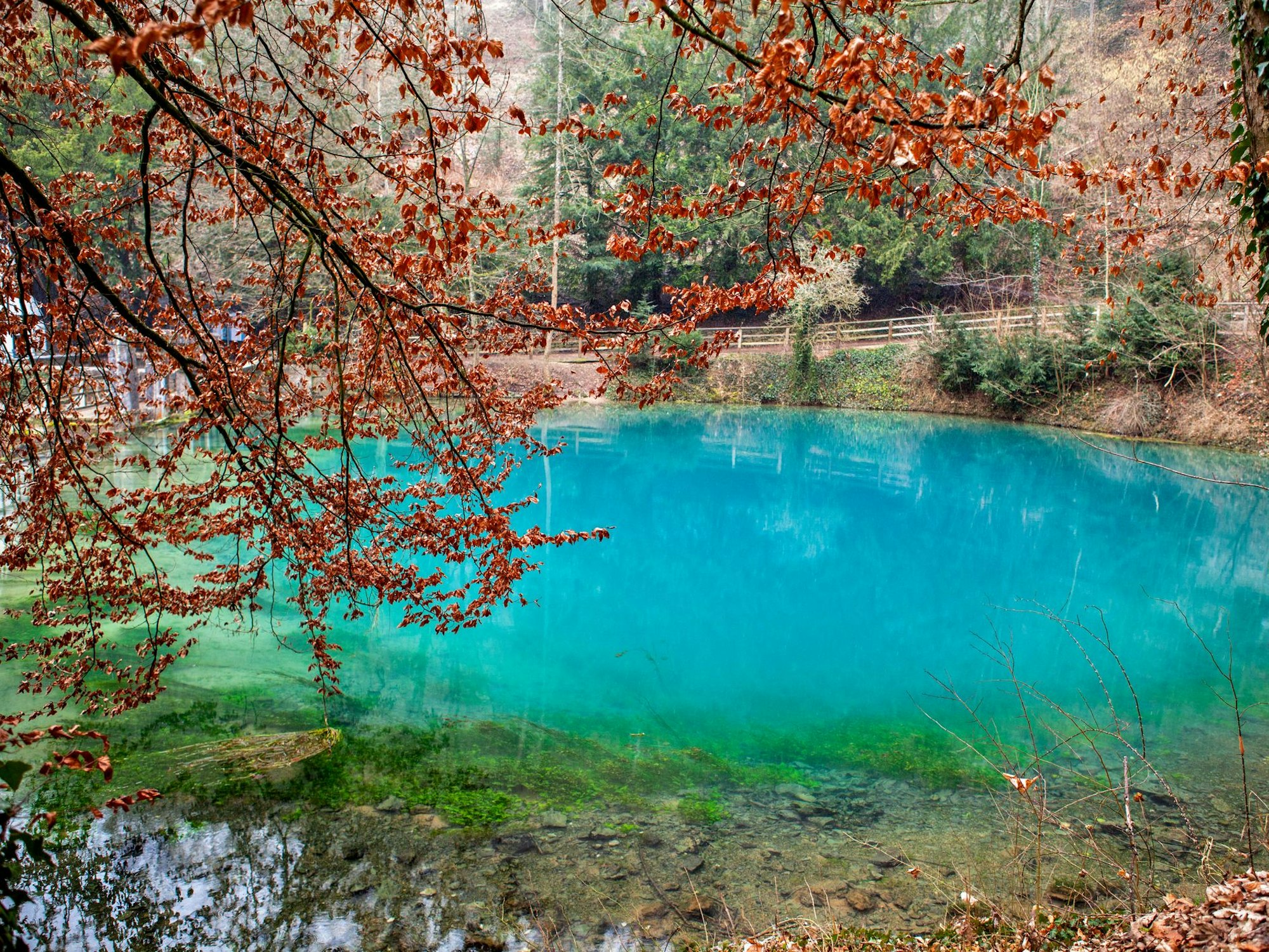 Ein wirklich magischer Ort in Baden-Württemberg ist der Blautopf.