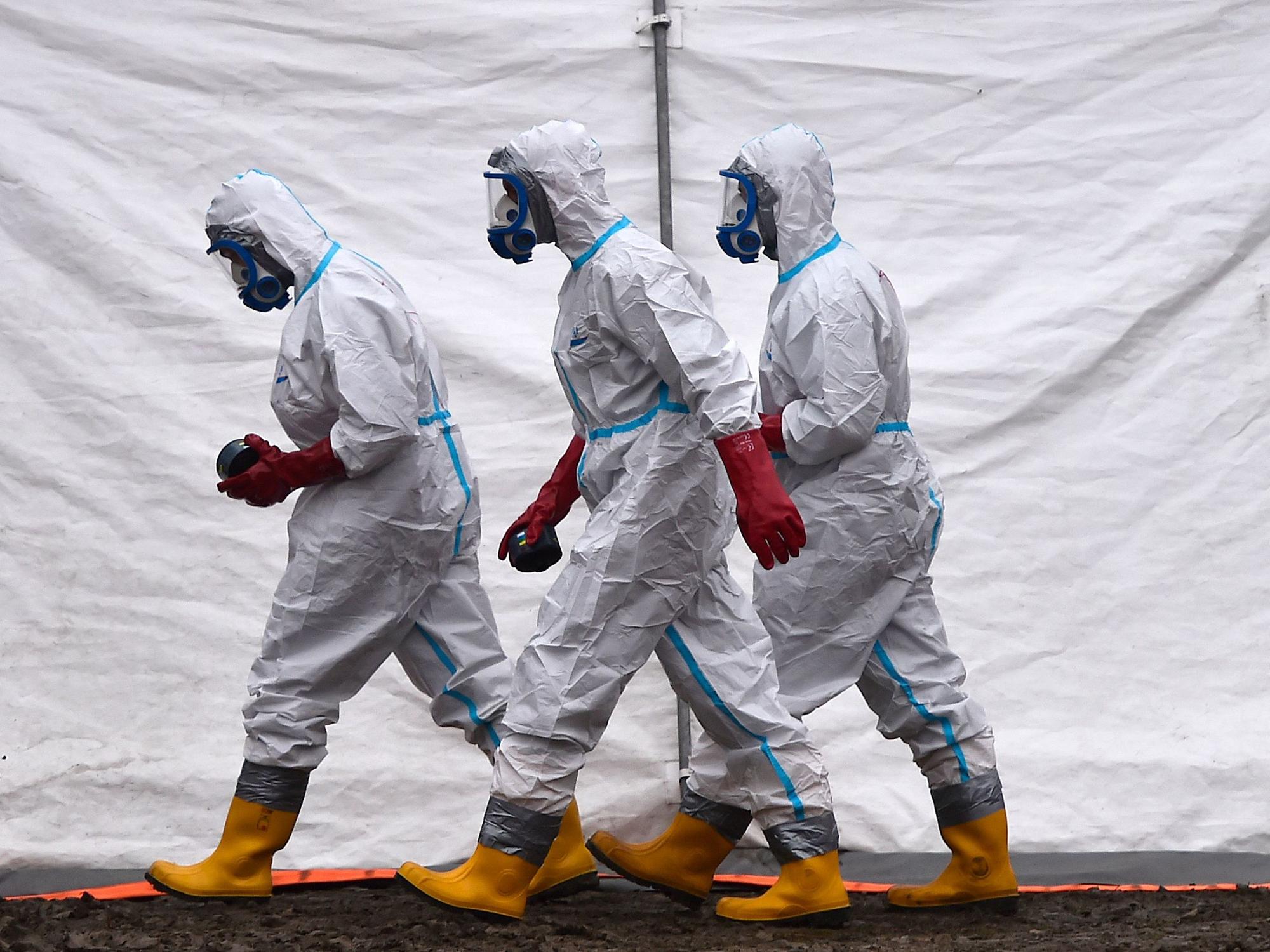 Drei Personen in Schutzkleidung gehen auf einer Gänsefarm, in der die Vogelgrippe (H5N1) nachgewiesen wurde.