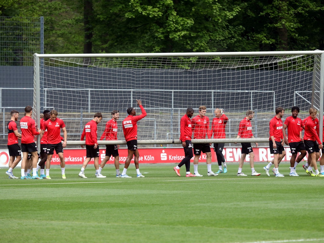 Der 1. FC Köln trainiert am Geißbockheim