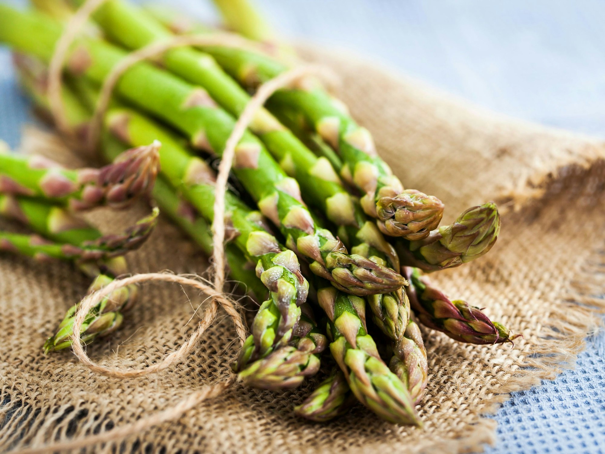 Spargel einfrieren: Mit der richtigen Methode bleibt das Gemüse aromatisch.