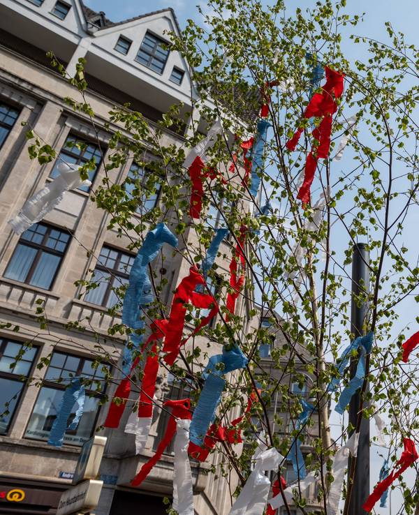 Ein Maibaum vor dem Kölner Dom.