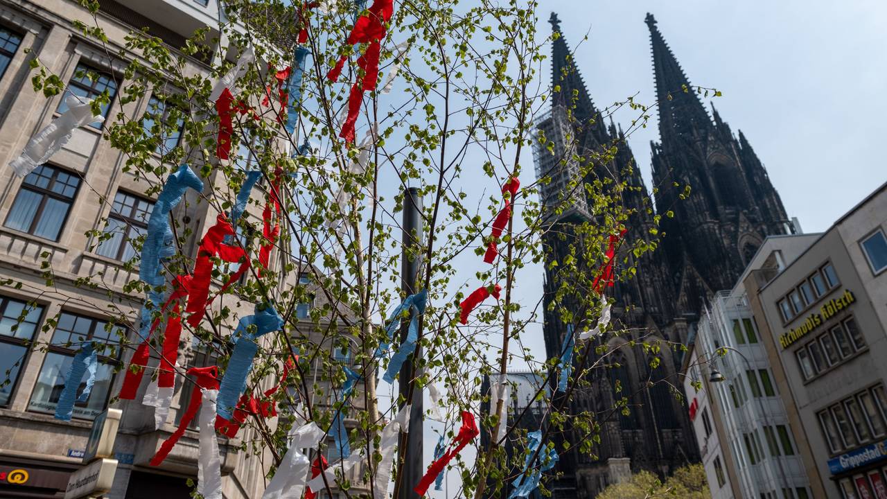 Ein Maibaum vor dem Kölner Dom.