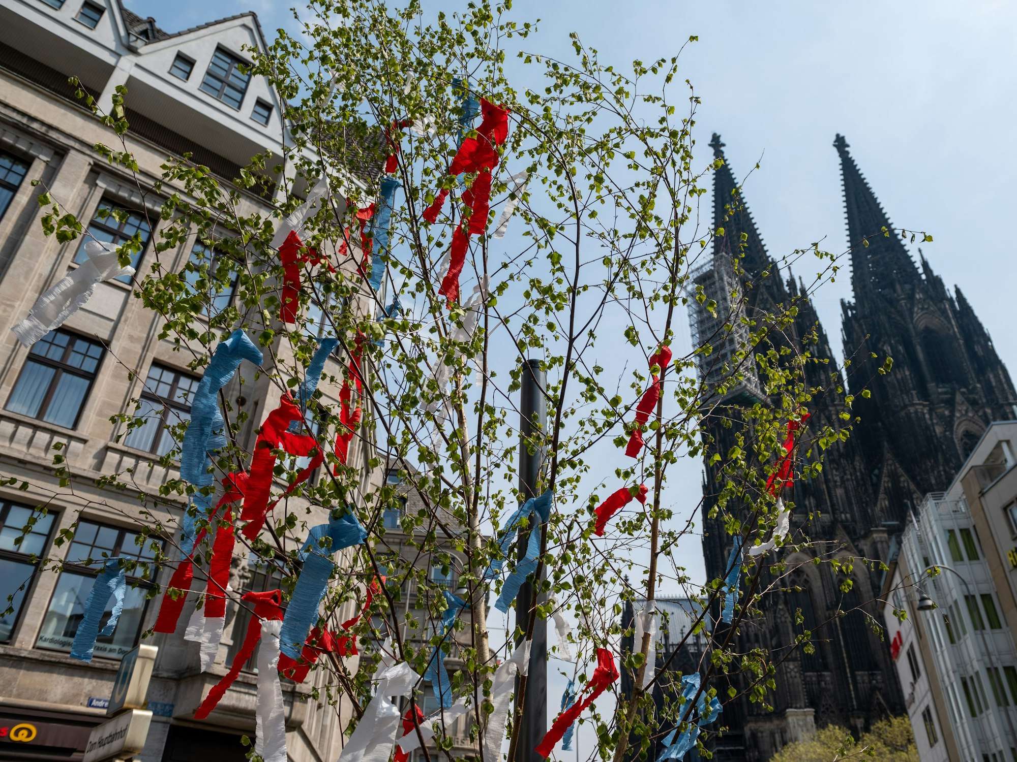 Ein Maibaum vor dem Dom.
