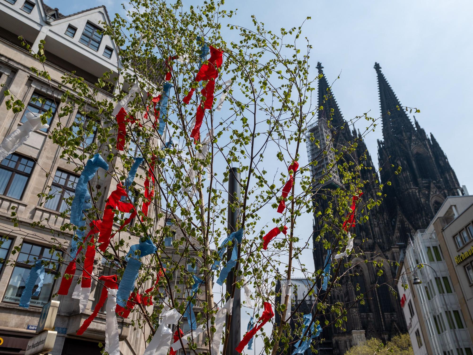 Ein geschmückter Maibaum steht vor dem Kölner Dom.