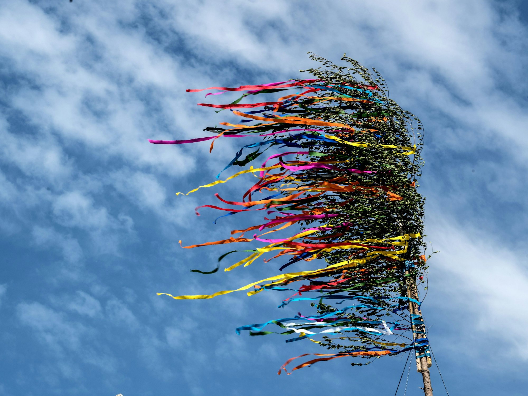 Ein bunt geschmückter Maibaum (Foto vom 30. April 2017) – in Köln wurde jetzt ein besonderes Exemplar entdeckt.