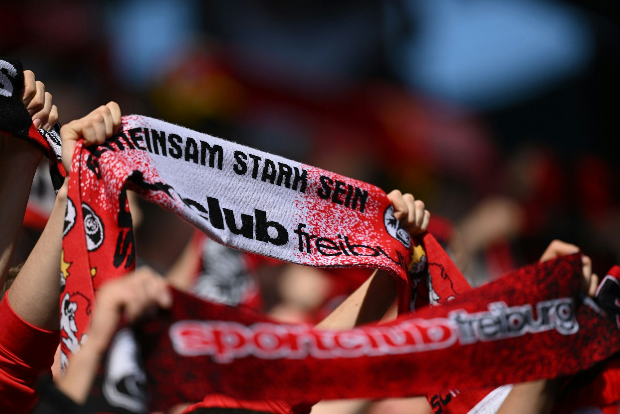 Fans des SC Freiburg feiern ihren Klub im Spiel gegen Bochum.