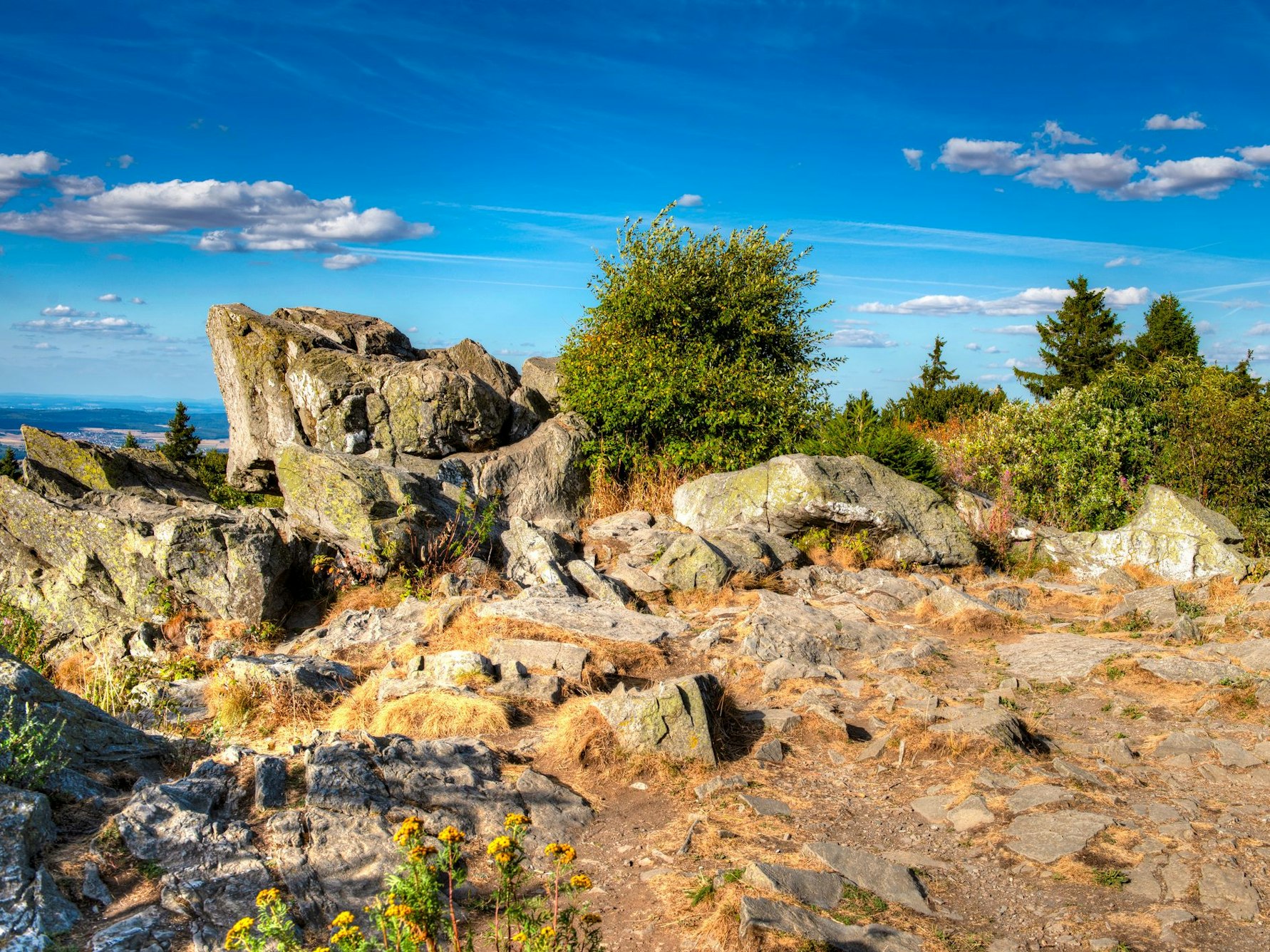 Der Brunhildisfelsen ist ein schönes Ausflugsziel in Hessens Natur.