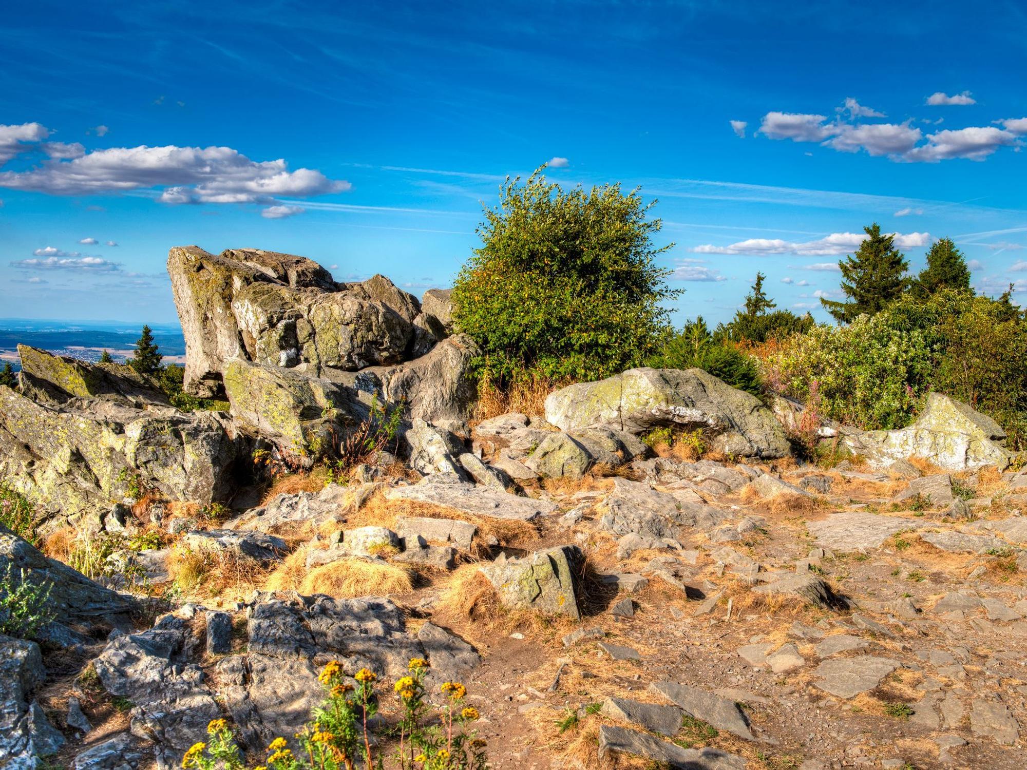 Der Brunhildisfelsen ist ein schönes Ausflugsziel in Hessens Natur.